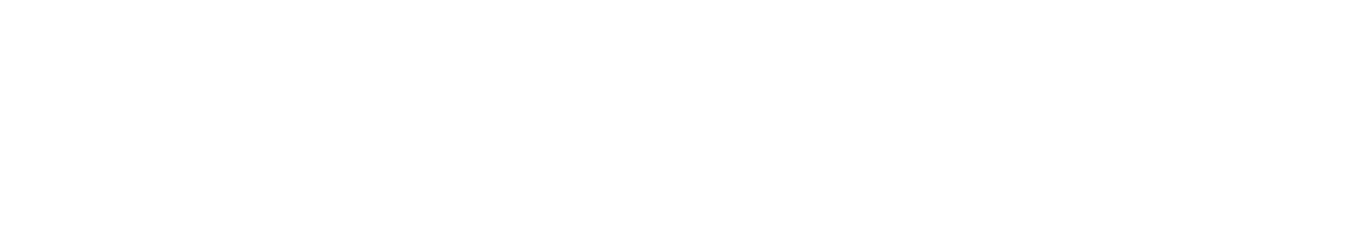 Wordmark (white)